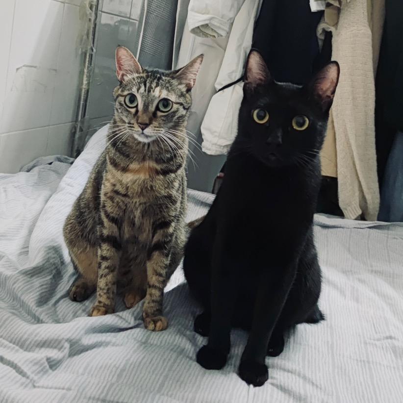 誒呀是小二黑和虎妞