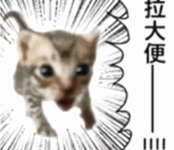 好想去小韩疯狂购物啊！！！ 