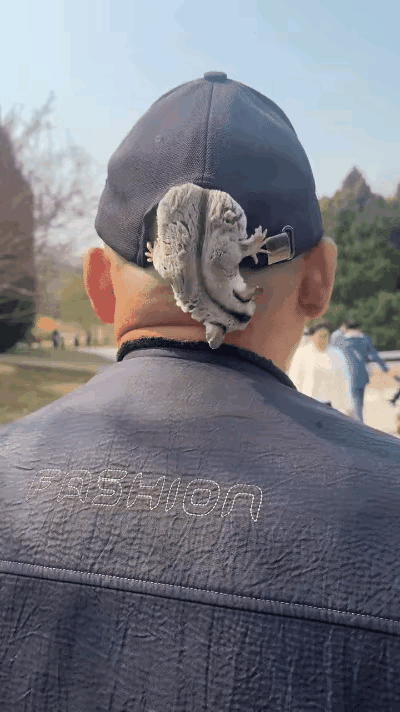 这位老哥玩的潇洒，虽然叫不出这个小动物的名字，但是感觉它和主人配合的相当默契，也