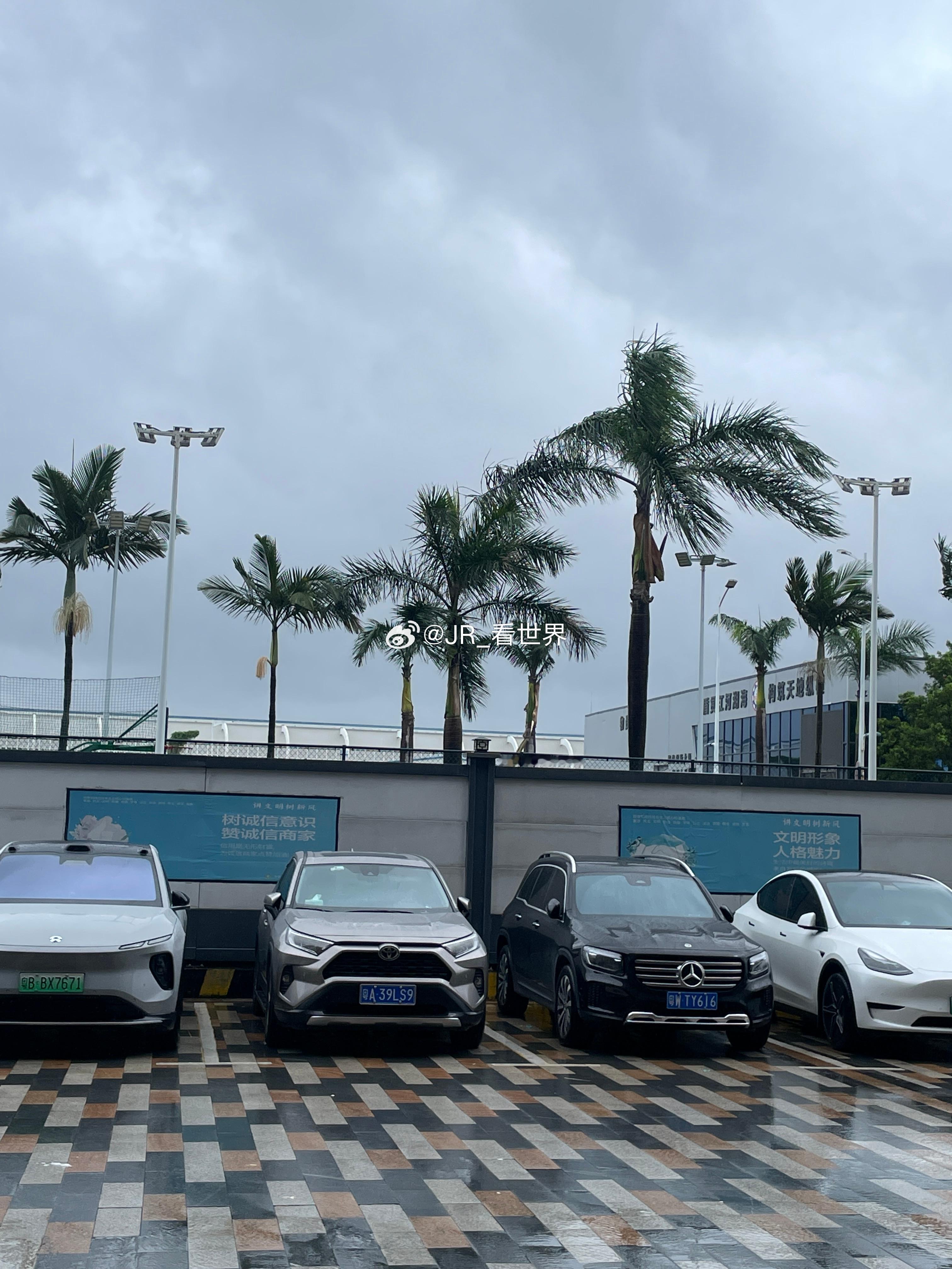 果然还是没躲过台风啊… 知道这台风威力很大，没想到大到连高铁都给我取消了[苦涩]