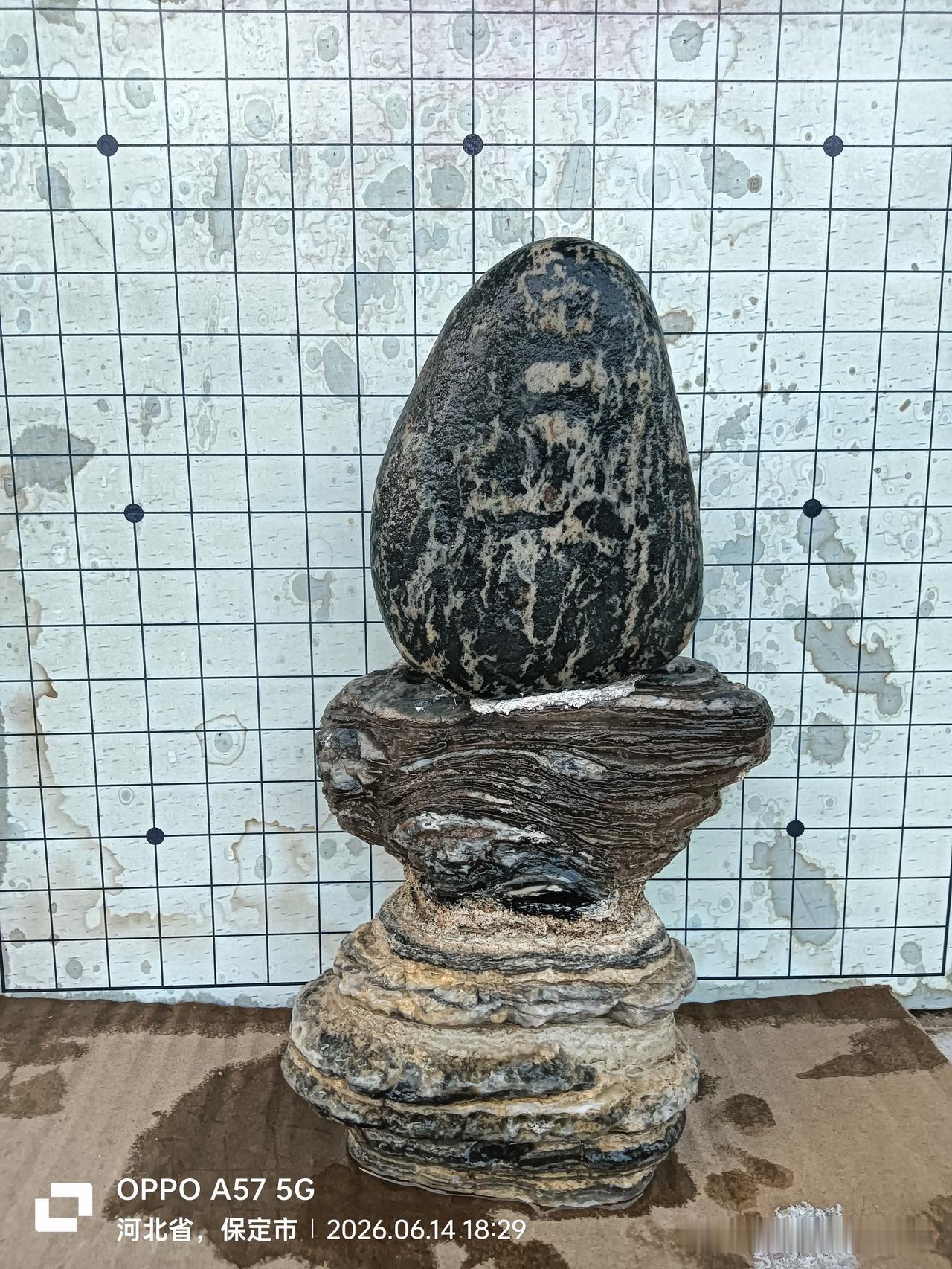 精华奇石（福）
缘者鸿福
原卵石