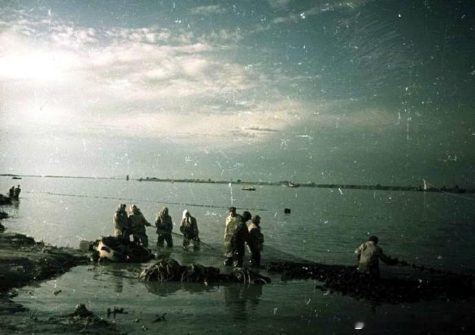 1949年苏联阿斯特拉罕鲟鱼加工厂 