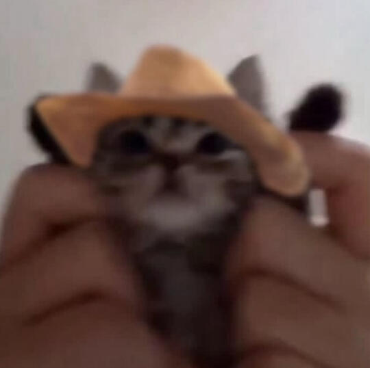 🐾搞怪头像｜牛仔猫猫头🤠