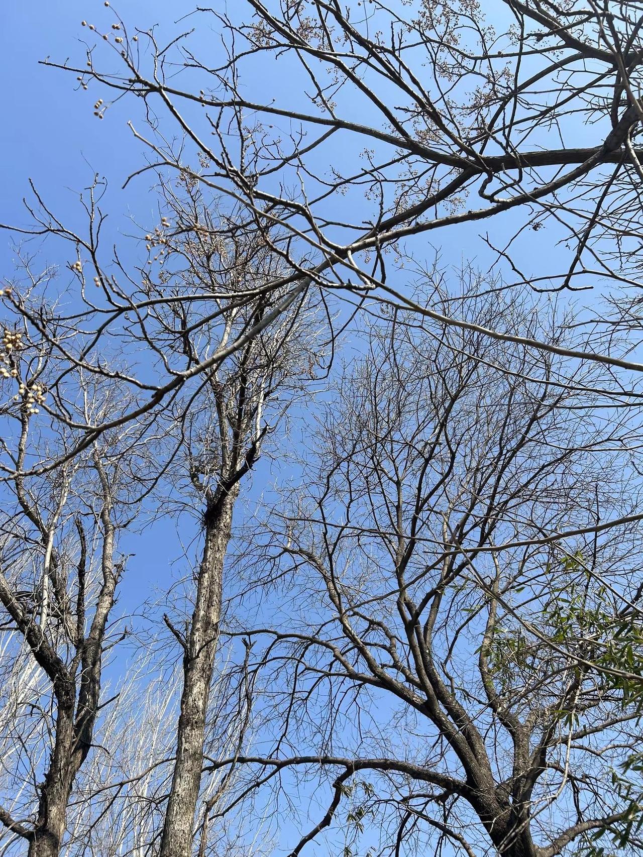 像是做了一场7天的梦 又是一年