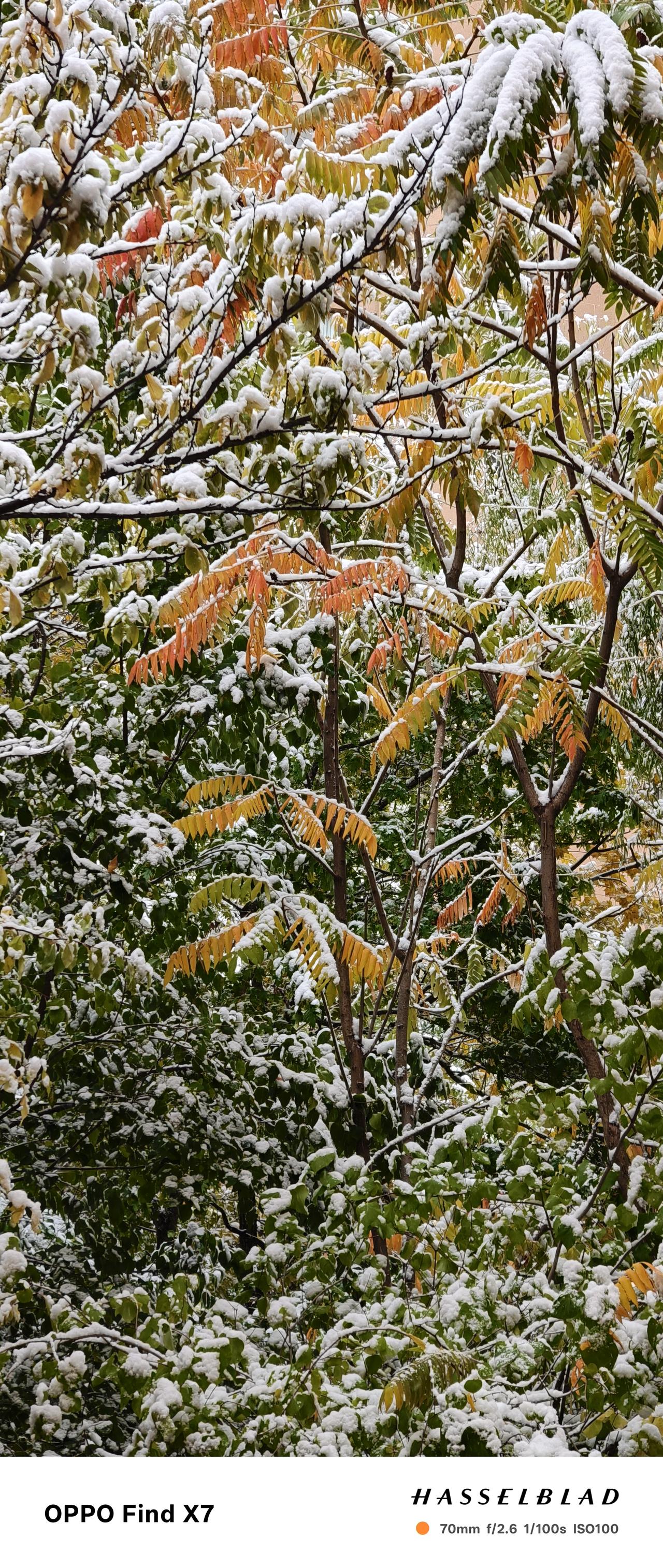 冬日生活打卡季