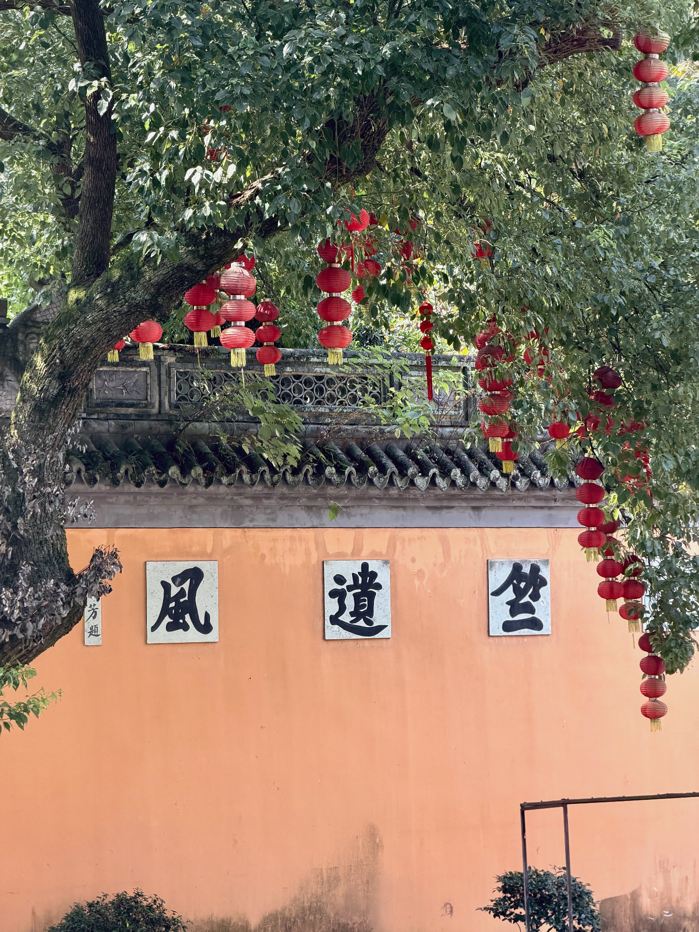 大佛寺&天姥山徒步✔️  ​​​
