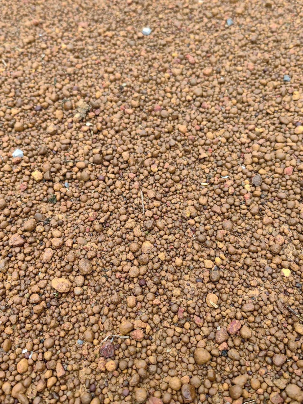 这种果地种出来的沃柑会不会更好吃。🍊 为什么这种土能种出更好吃的沃柑？ 1. 