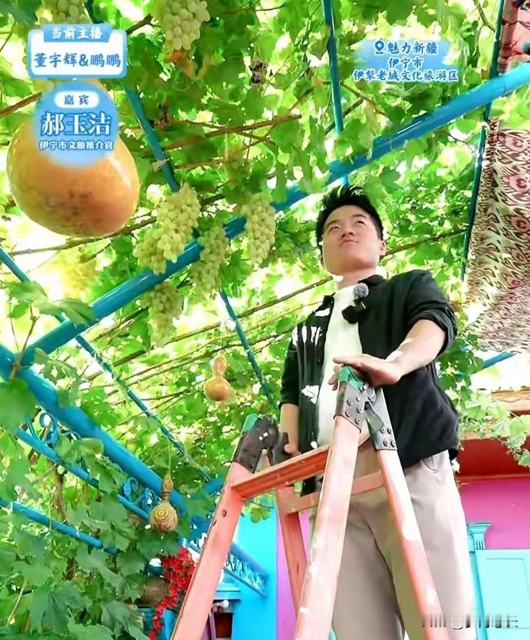 这三天追“与辉同行”直播，
最大的感受不是想下单，
是想旷工！ 强烈建议新疆文旅
