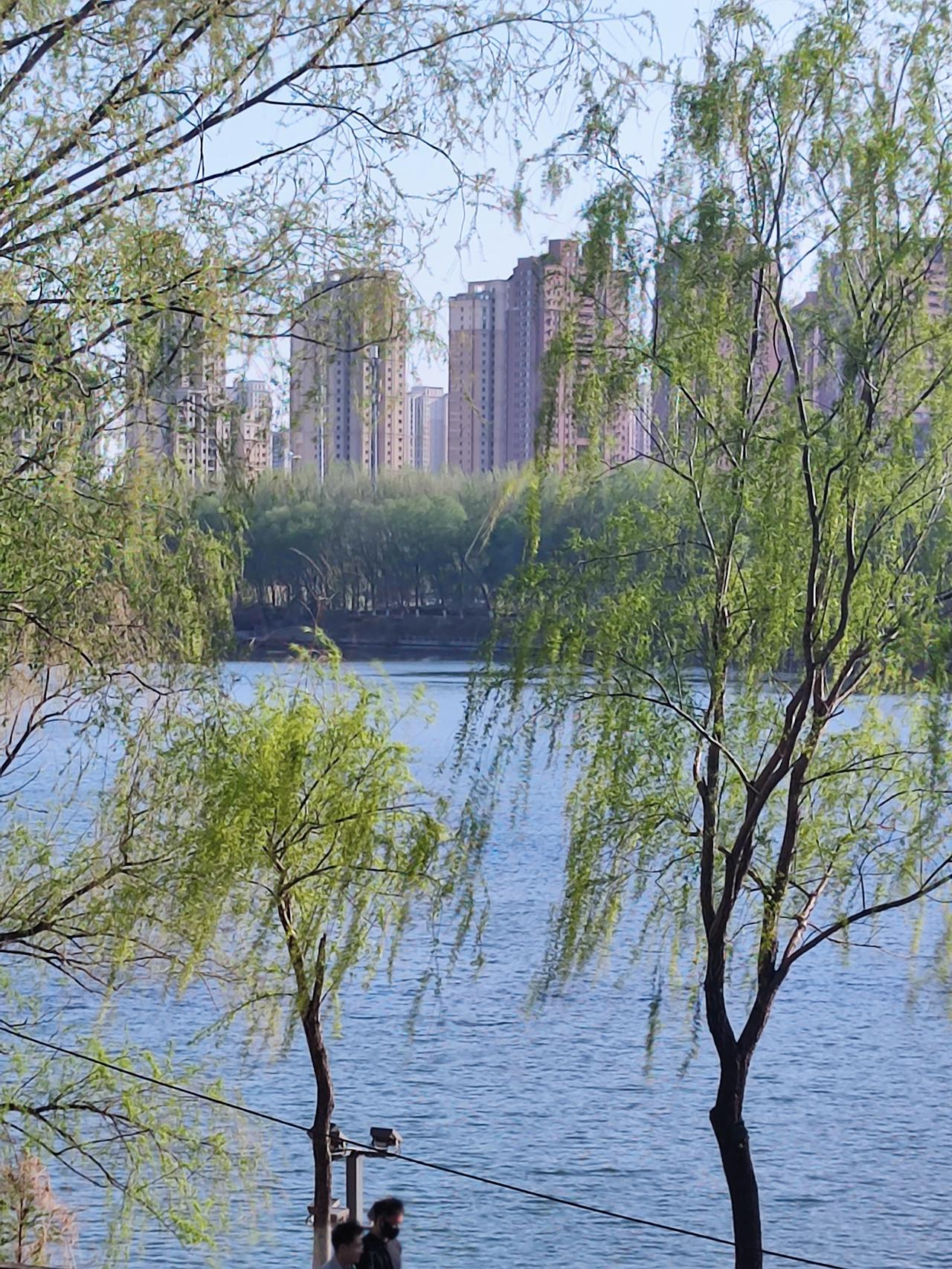 浑河沿岸景色一观
    沈阳浑河古称沈水，是沈阳母亲河，沈阳市域兴长172米，