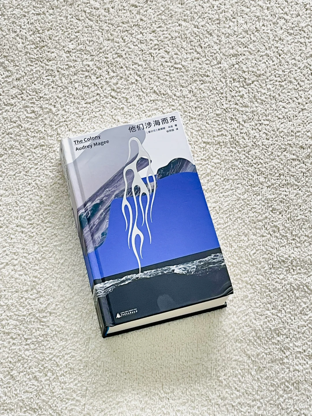 读到最后才知道，这本书的讽刺感拉满了！