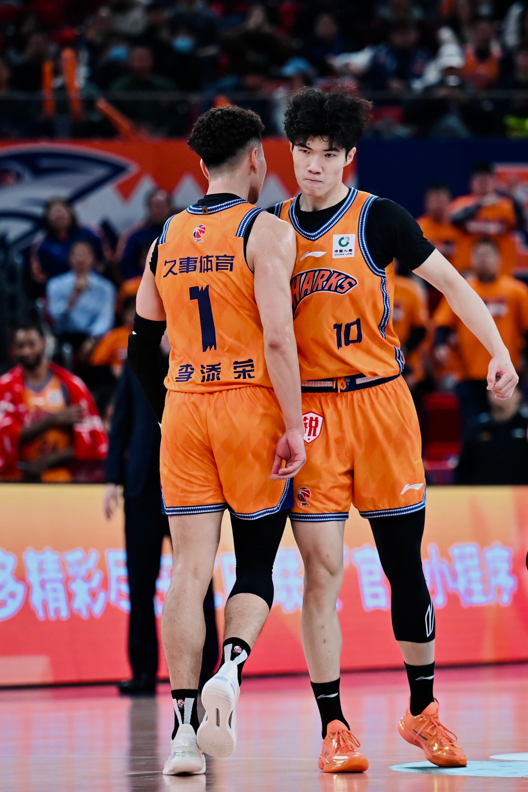 1️⃣1️⃣0️⃣上海久事大鲨鱼 上海·上海体育馆