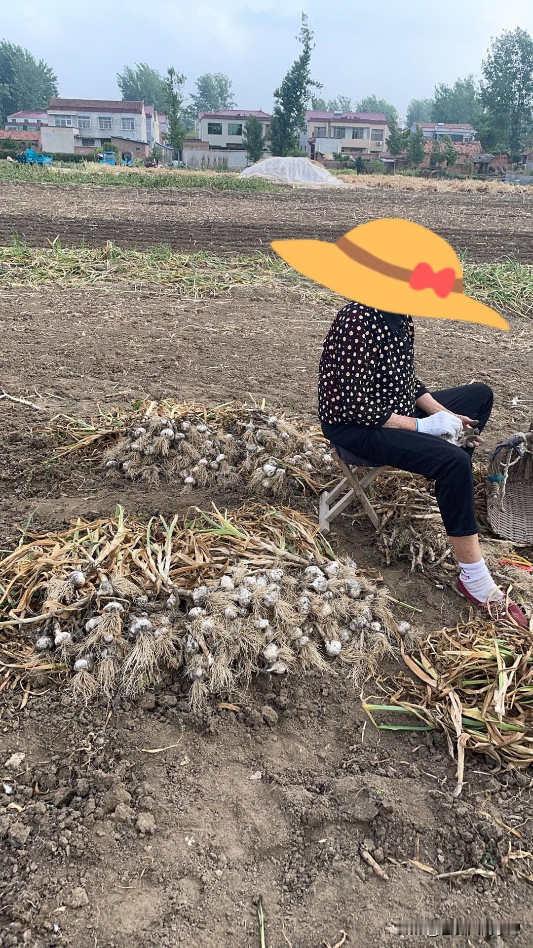 要问农村老人七八十岁老人种地为了什么？

我觉得老人就是想靠自己的双手有一点收入