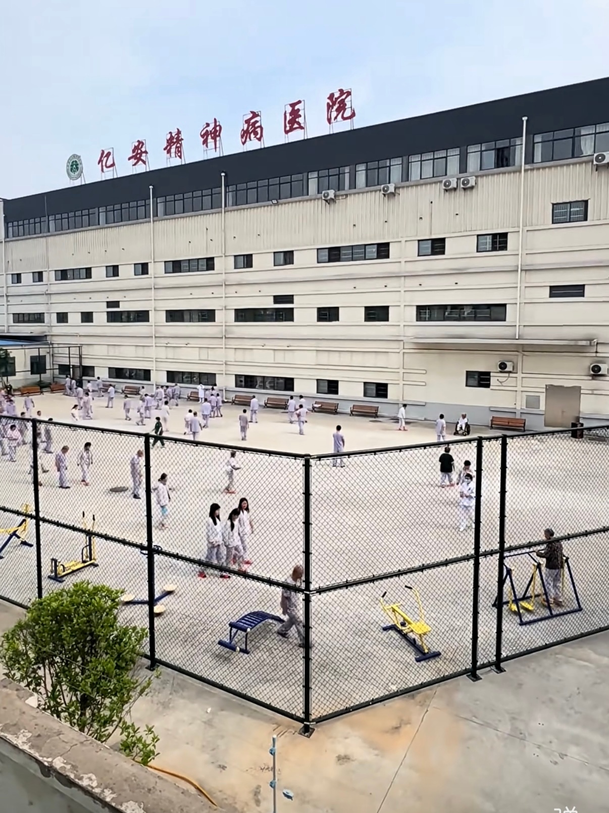 原来精神病院是这样的啊 