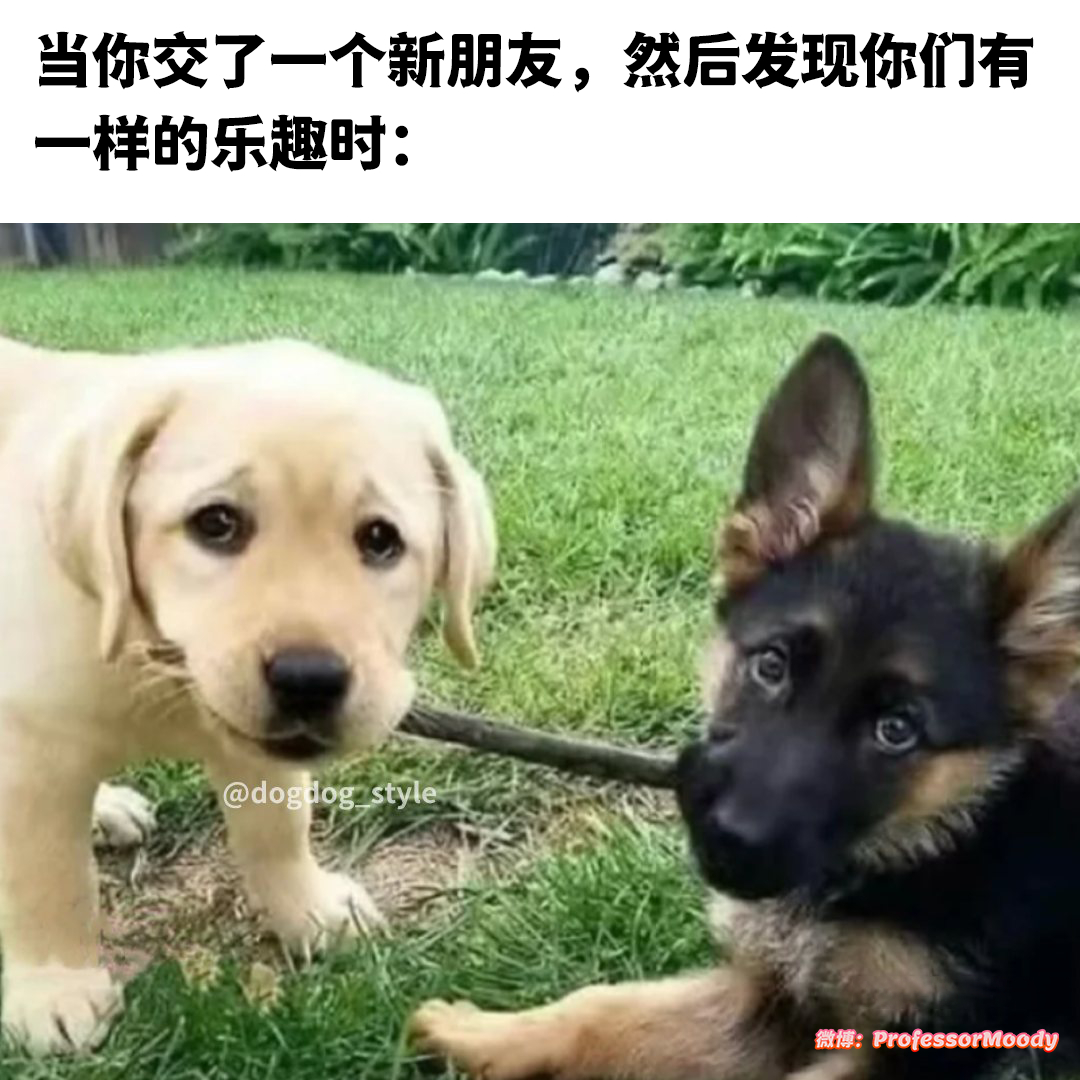 一辈子好朋友！( ･´ω`･ ) 