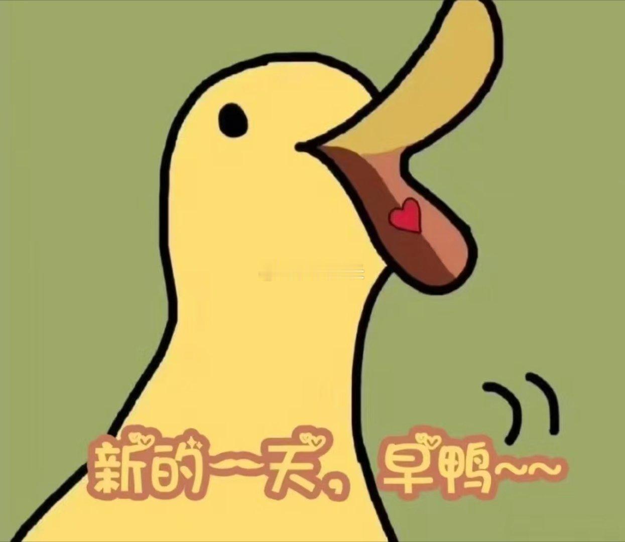 早安，醒了的来打卡 