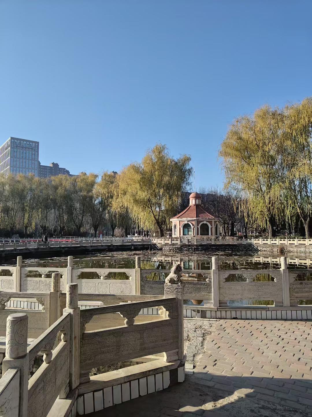 你看这小亭子衬着湖，岸边柳树叶子都黄透了，风一吹跟撒金箔似的。石栏杆上还蹲个小狮