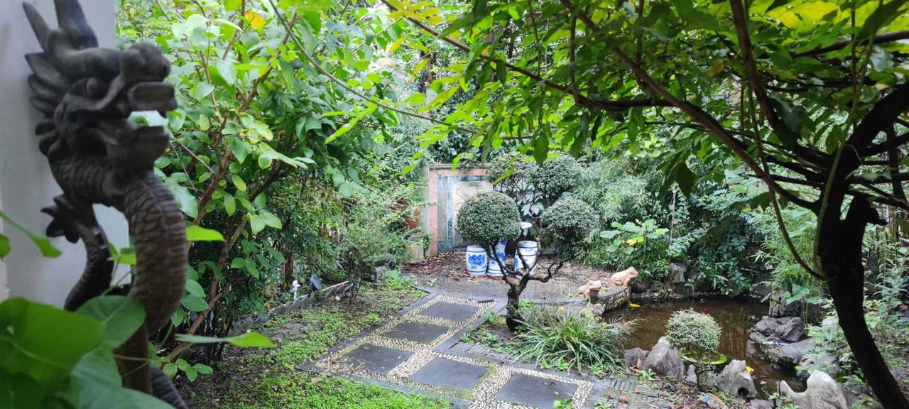 懒人：将早安放在午后，并每天只吃两吨饭的人。