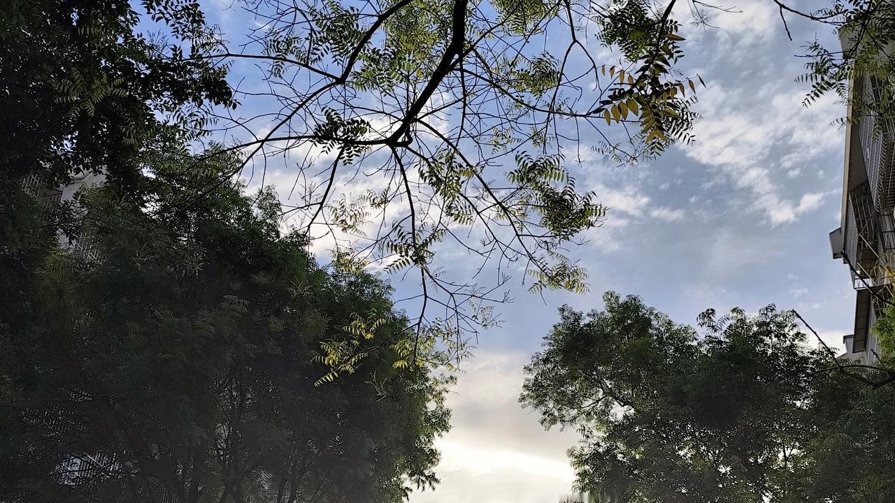 晒图笔记大赛今天早上的日出真的很漂亮，拍了一些随手拍！真能感觉新的一天又是新的开