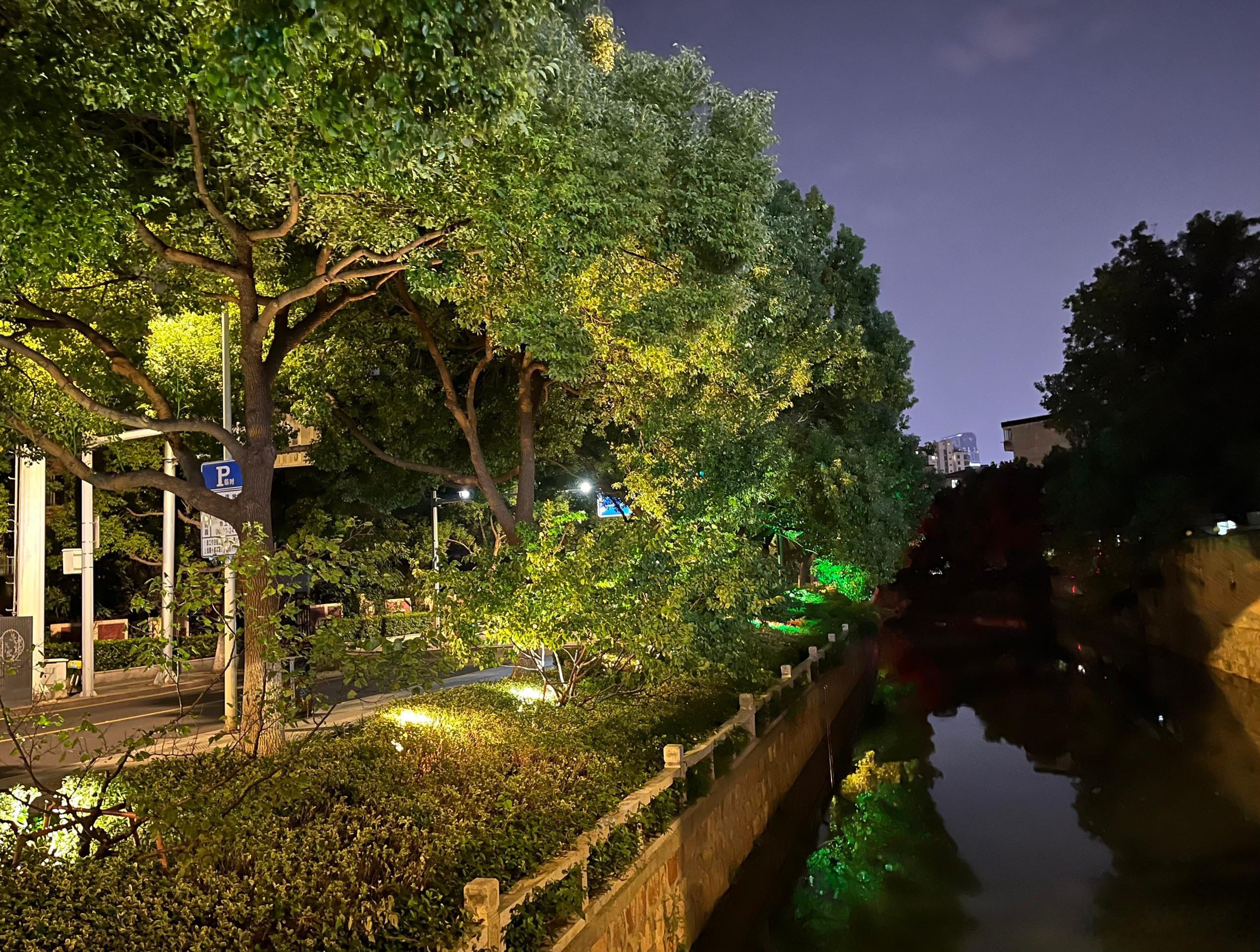 姑苏河畔，晚风轻柔🌳 ​​​