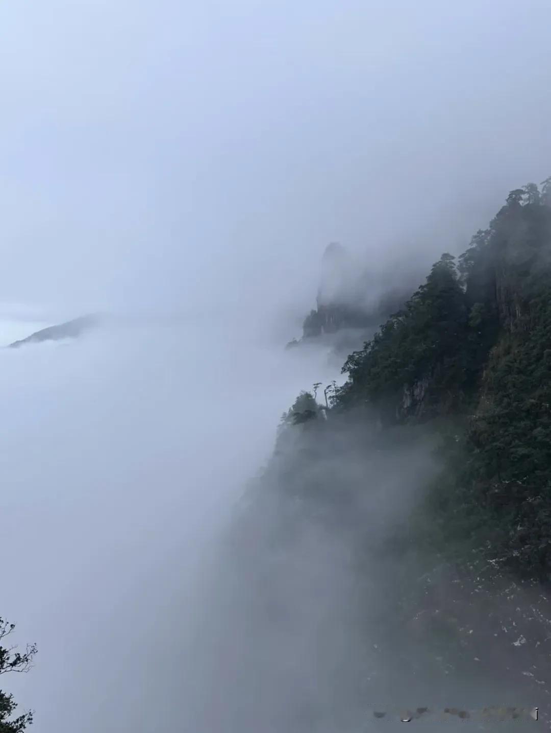 天南地北大拜年戳这里，一起放烟花>云海，春节不看烟花看云海！