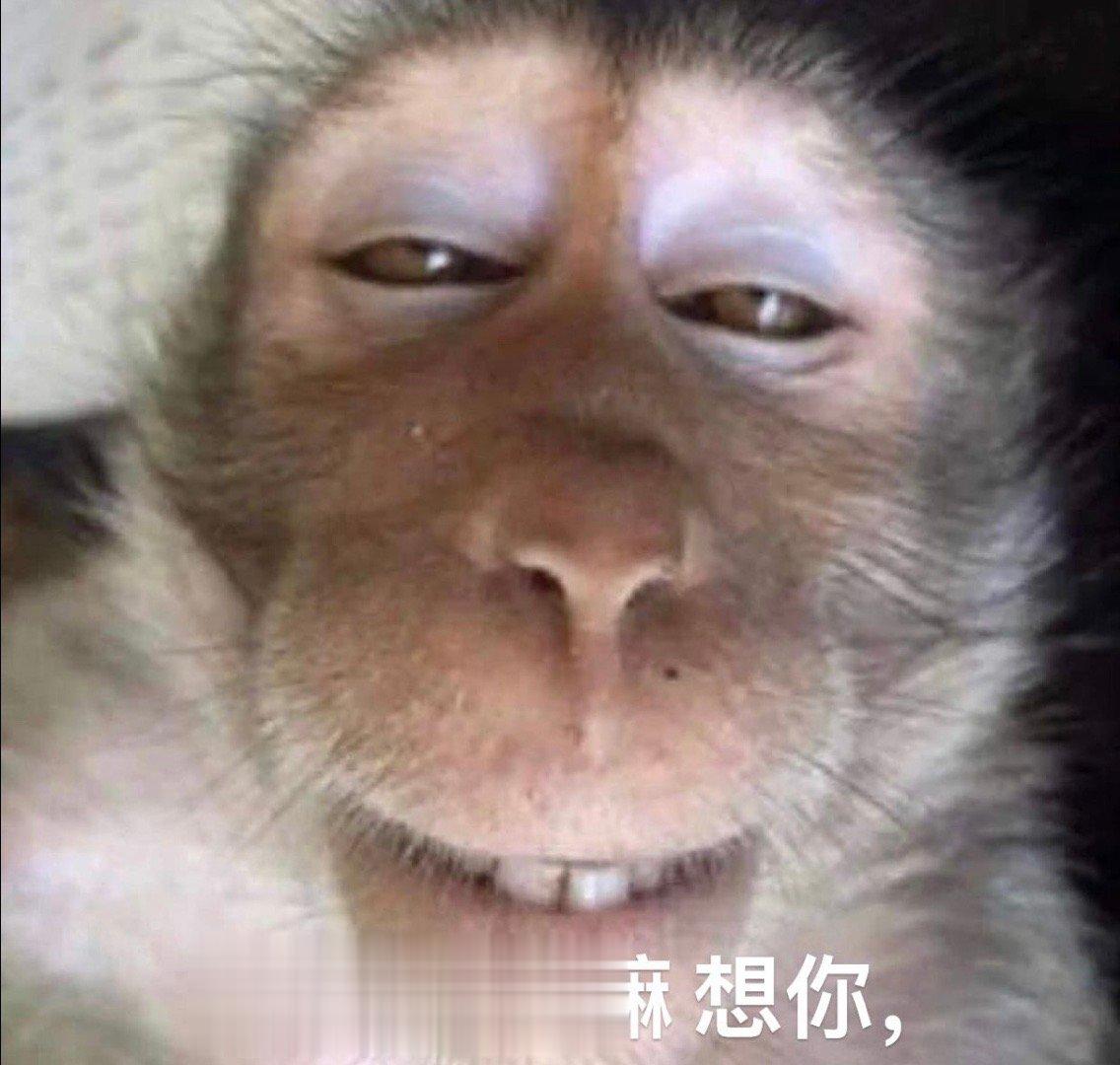 吗喽表情包来咯 ​​​