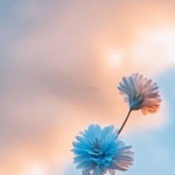 每日一善 每日一善 阳光信用 努力让自己变强，什么时候都不晚努力的意义，不在于一