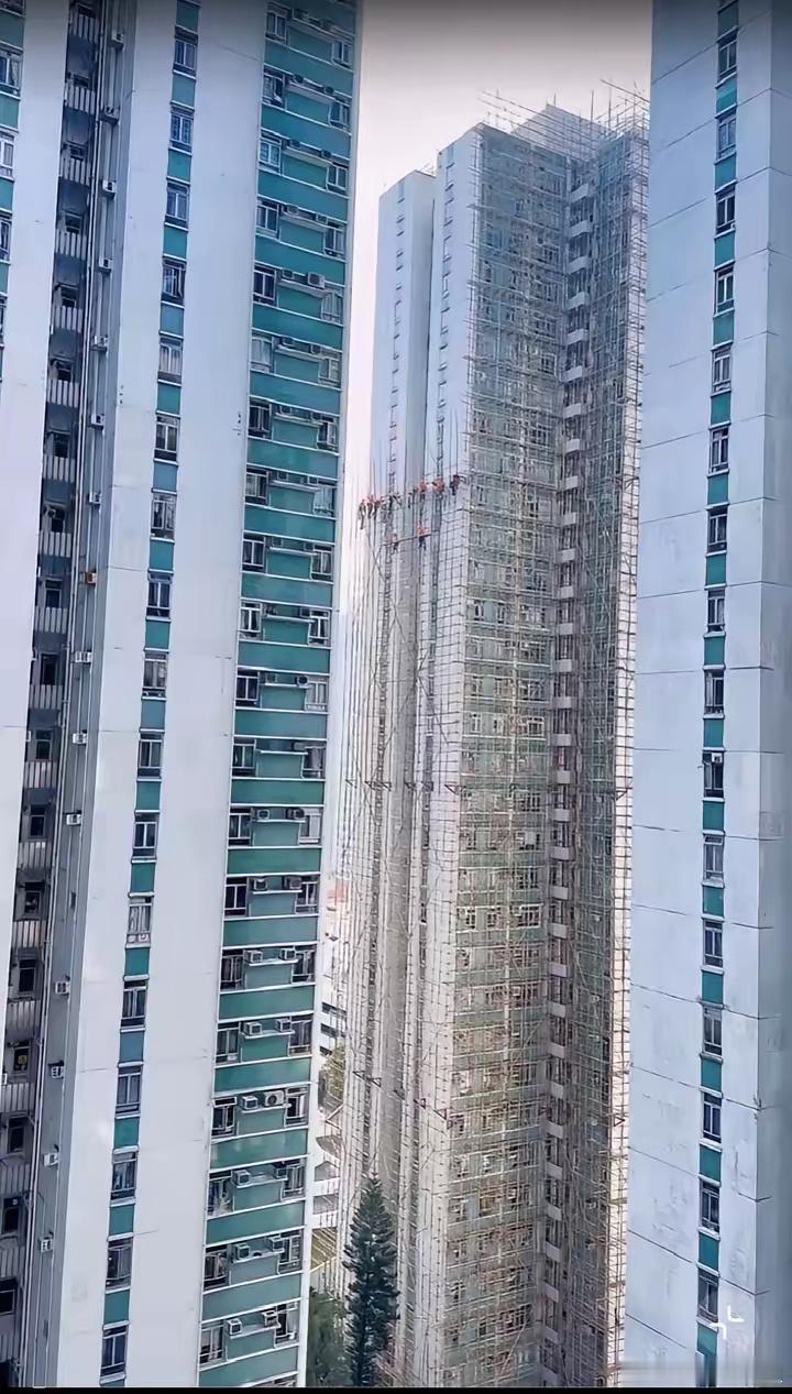香港：这才是真正的高手在民间吧[偷笑] 