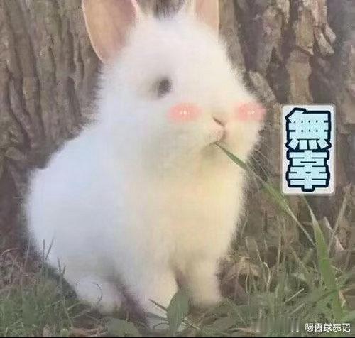 精致女生的护肤囤货清单，少不了神仙水！京东直播正在做专属活动，价格十分给力。妆前