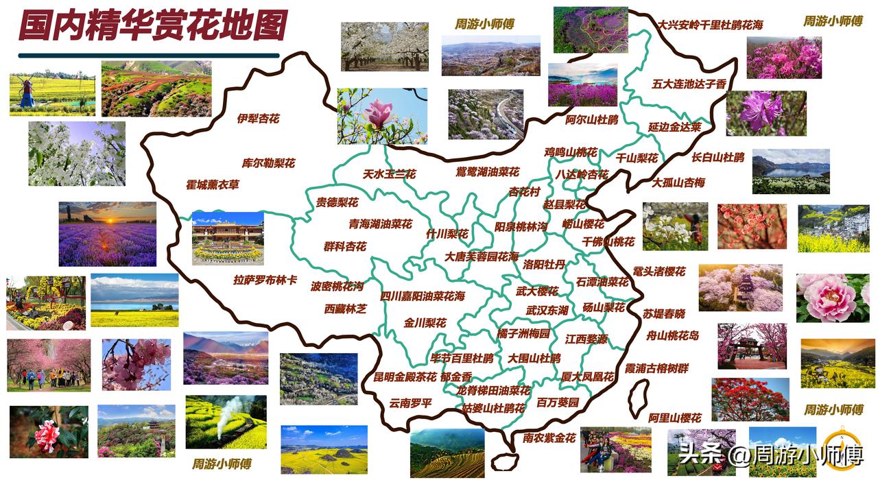 2026春赏花目的地·8处限定浪漫
无锡鼋头渚 - 3月樱花漫山，落英映碧水，华