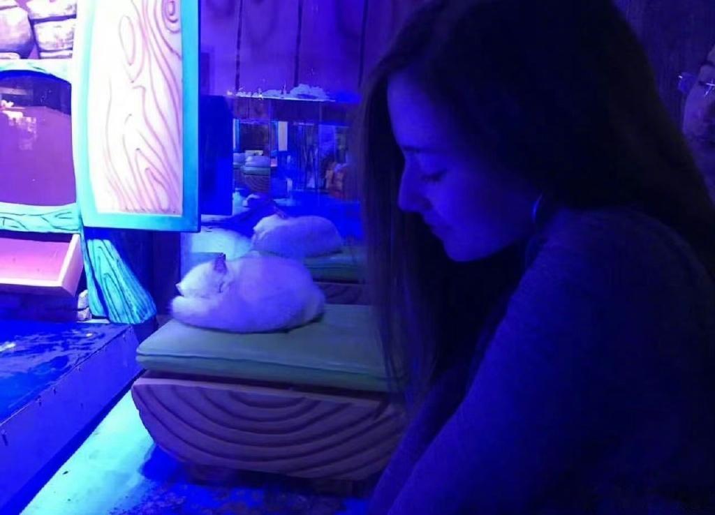 #娜然连发6条微博分享封神幕后#看到了去动物园观察小狐狸的很多神态什么的，然后还