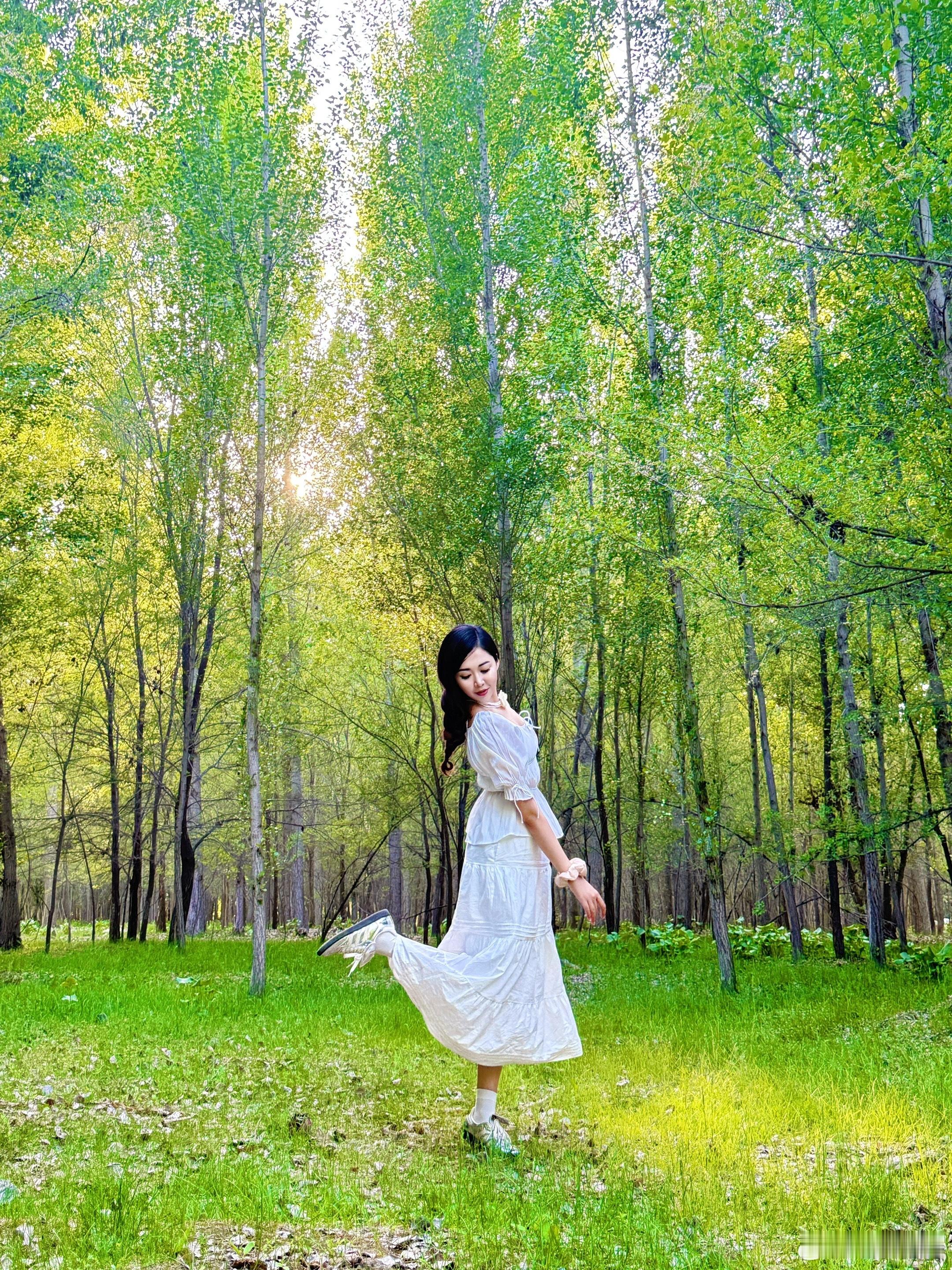 大树会拥抱每个抬头的人 ​​​