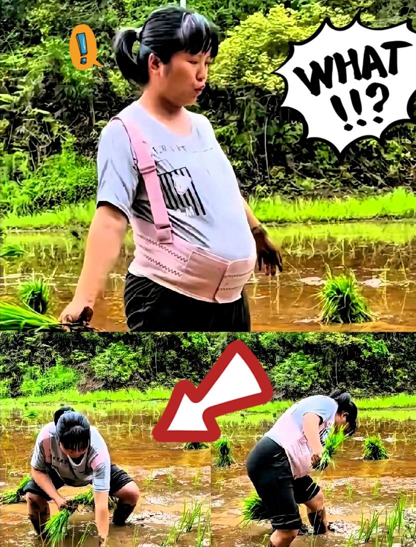 湖南怀化一村子，怀孕八个月的孕妇赤脚踩进泥水田插秧，丈夫在田埂递苗，婆婆弓着腰忙