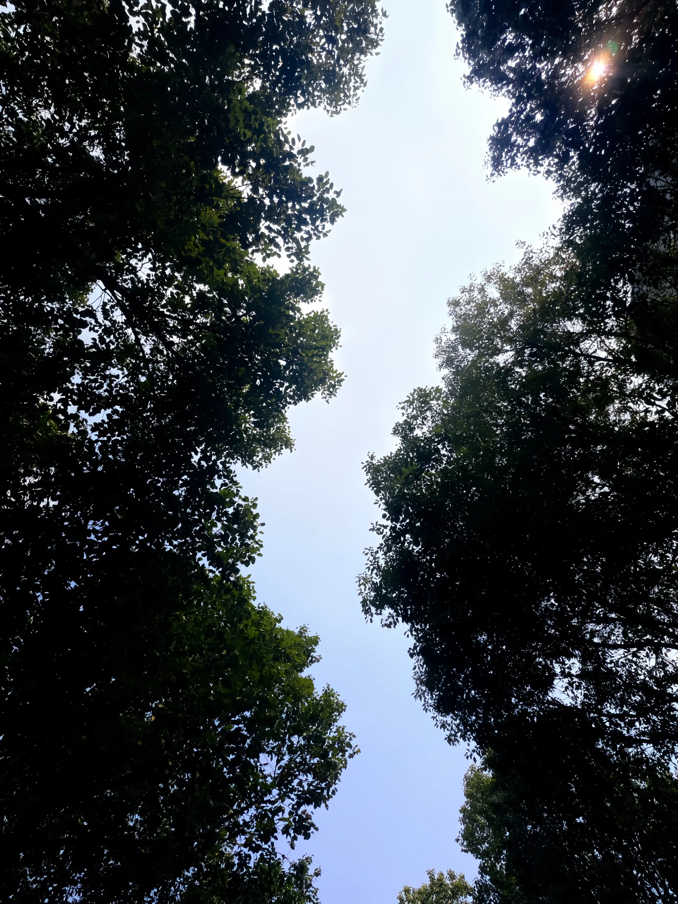 你们都会幸福的