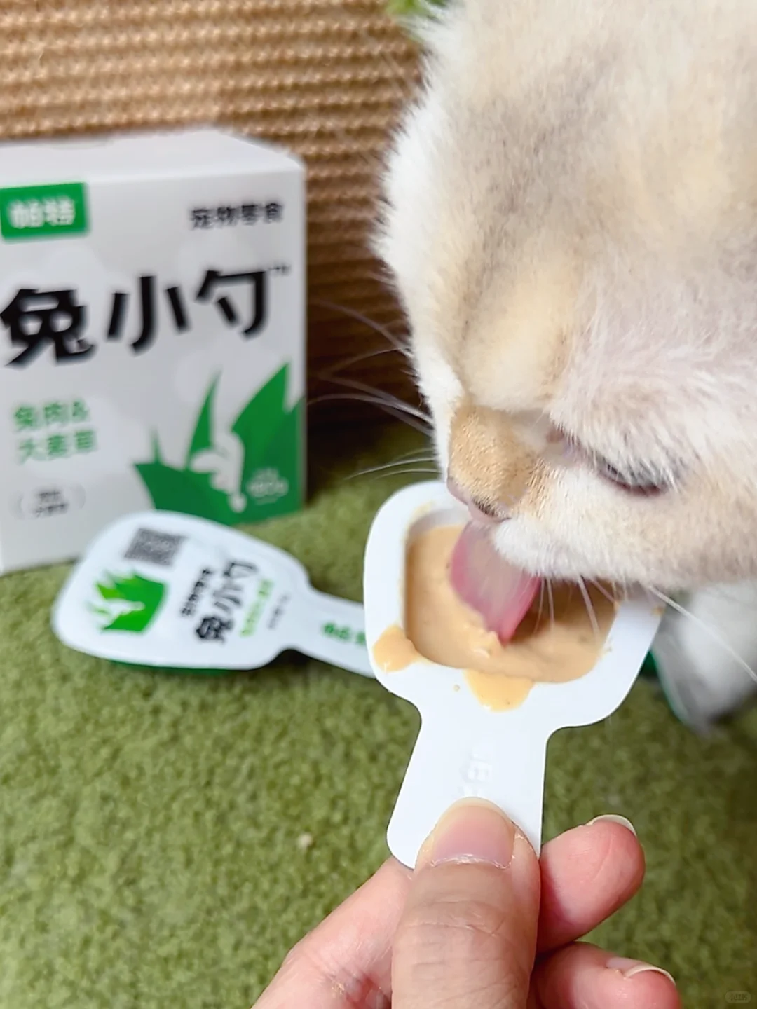 猫咪总是吐毛球容易肠胃炎！！！