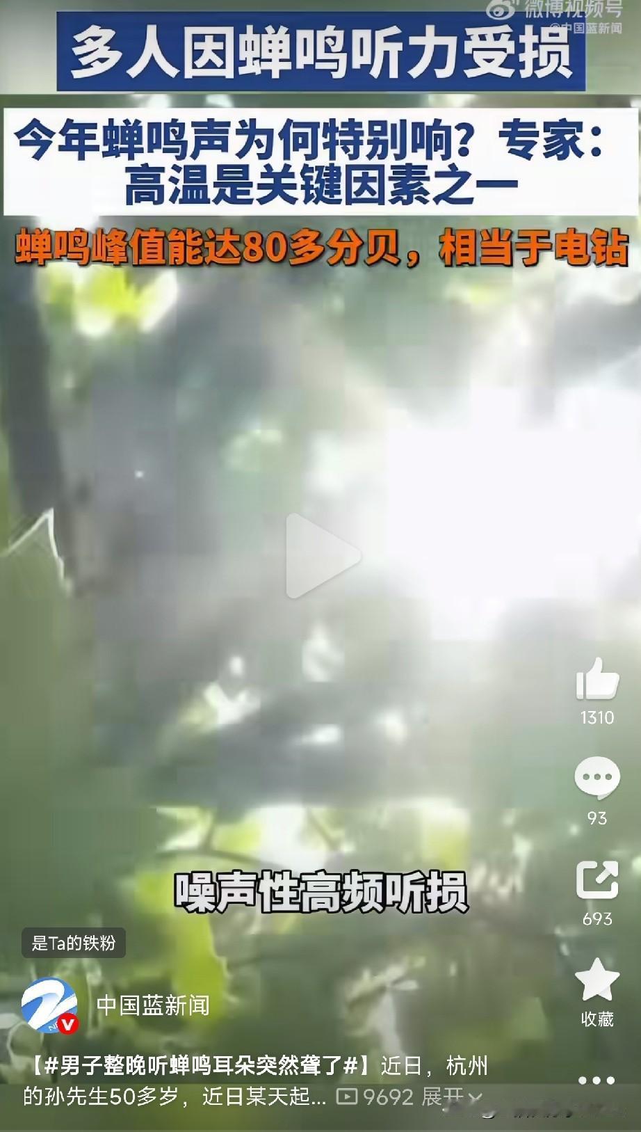 蝉鸣噪声致聋

杭州的孙先生，50多岁，小区绿化好，蝉多。

前几天晚上，窗外蝉