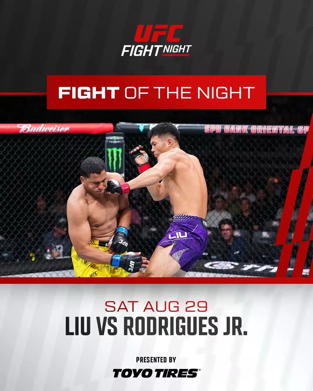 UFC最佳比赛刘策🆚罗德里格兹 最佳表现哈桑和宋亚东！一人十万刀