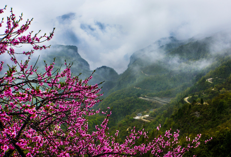 🔥全国游客门票半价！现在来云台山刚刚好！🏞️#这云台山是非去不可了# #王维