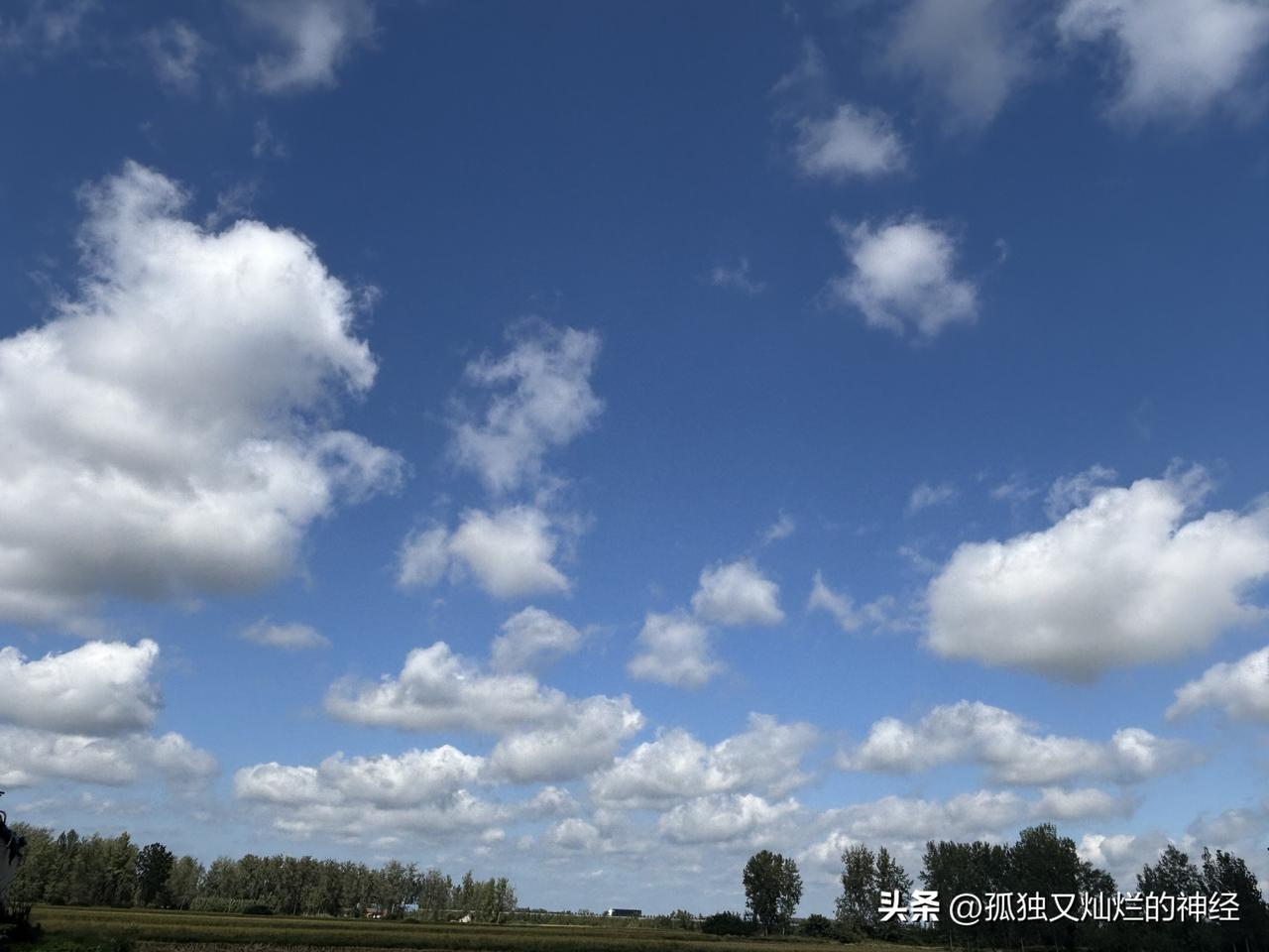 我近期创作的内容被官方加热啦！👍你也快来发布一条吧！带