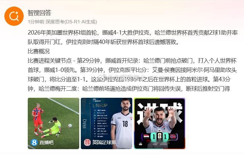 伊拉克vs挪威   挪威队4：1，我总计看了30分钟左右，看着伊拉克队，想着什么