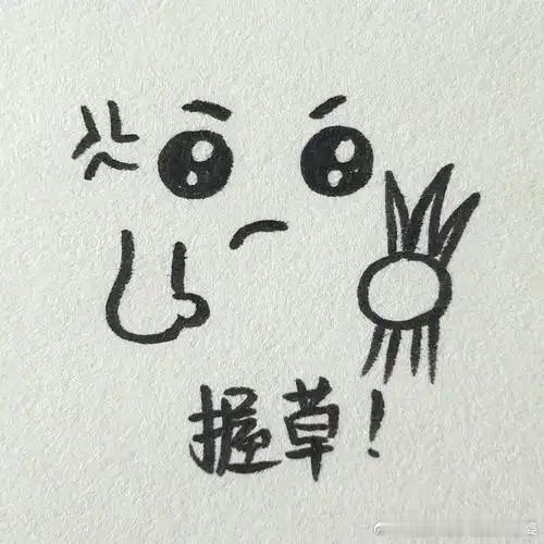 宁波男篮当场裁掉外援普通话：你跟谁耍横呢？东北话：跟谁俩呢？北京话：你跟谁横呢？