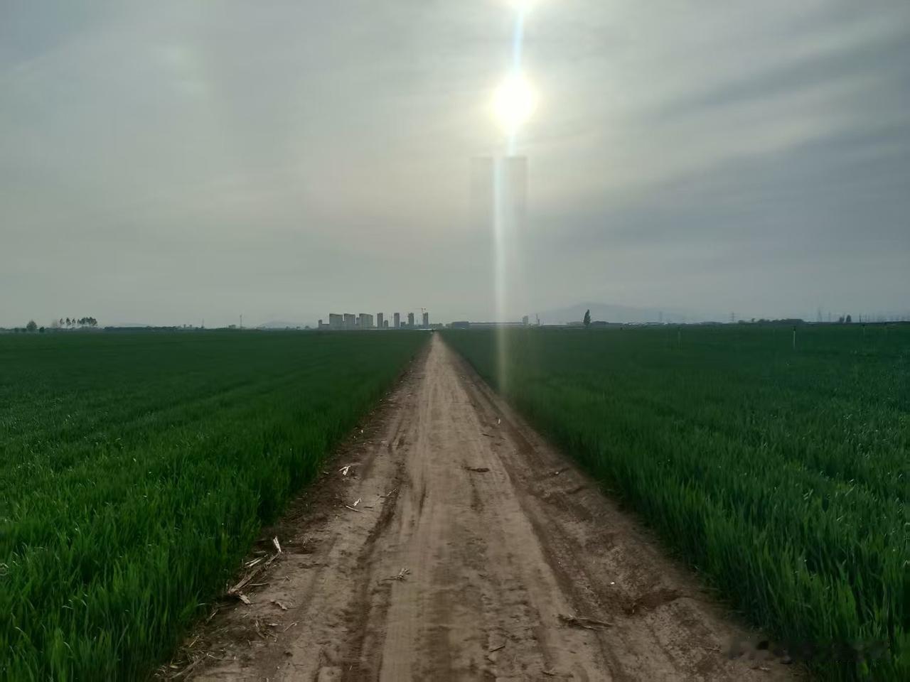 谷雨时候，到了北方大地最美的时间段。
以我的经验，以很多喜欢大地的人的经验，都认