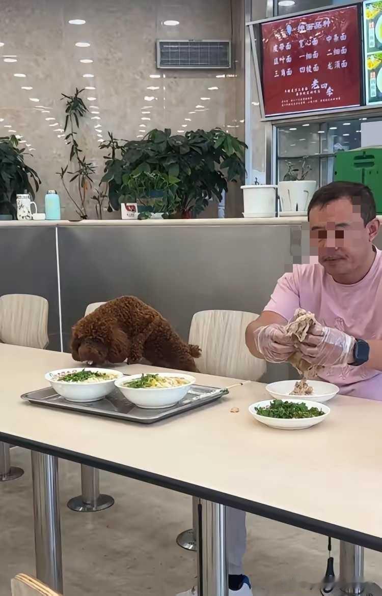 狗到底能不能进公共的餐饮环境，很多爱狗人士会说，狗比人干净，狗听话，可是真的吗？