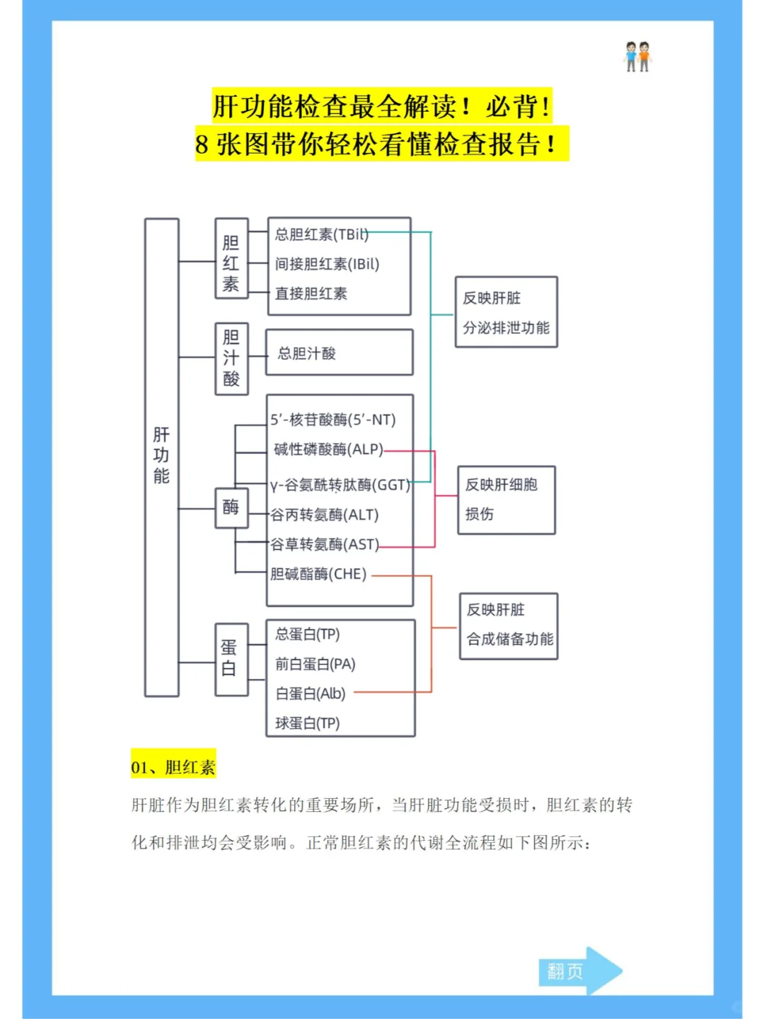 肝功能检查超全详细解读！8张图教你看懂！