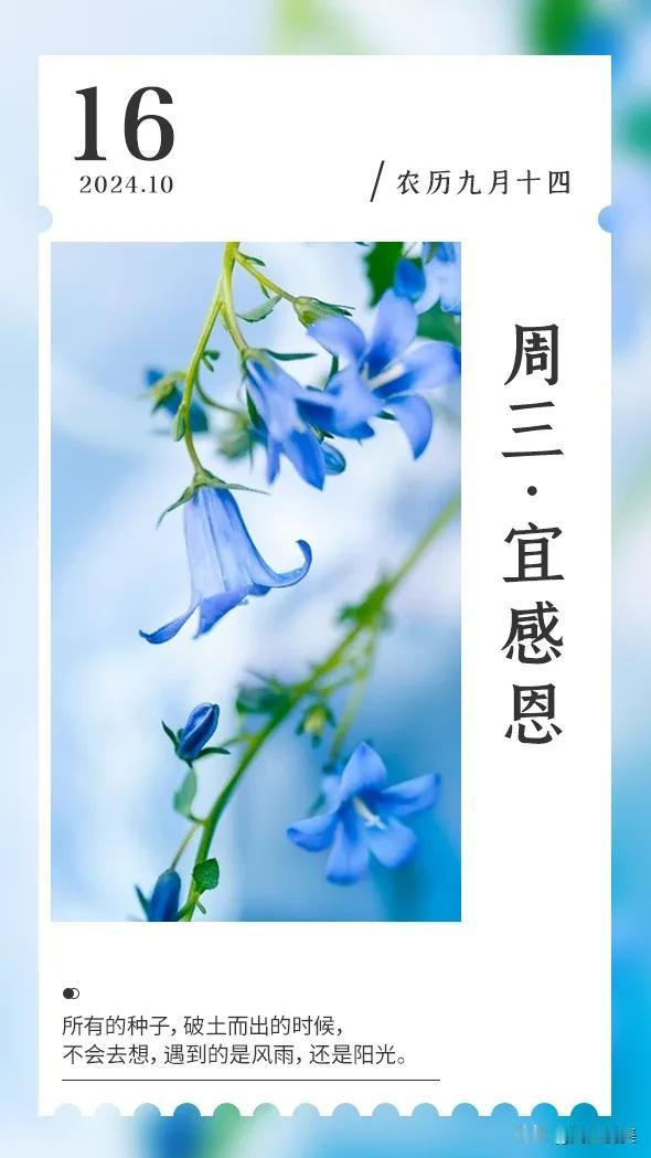 想一千次
不如行动一次
唯有努力
不负光阴
#秋日生活打卡季##阅文悦美# 
·