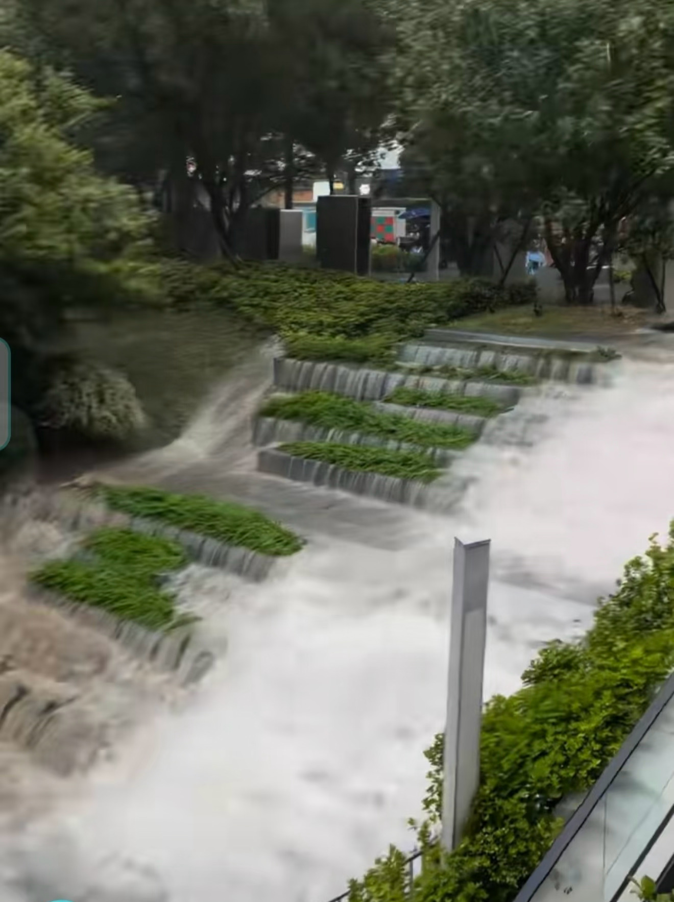白海豚 上班周一抽40个锦鲤，这么大的雨还要上班。你那边还好吗？转➕评，不过滤明