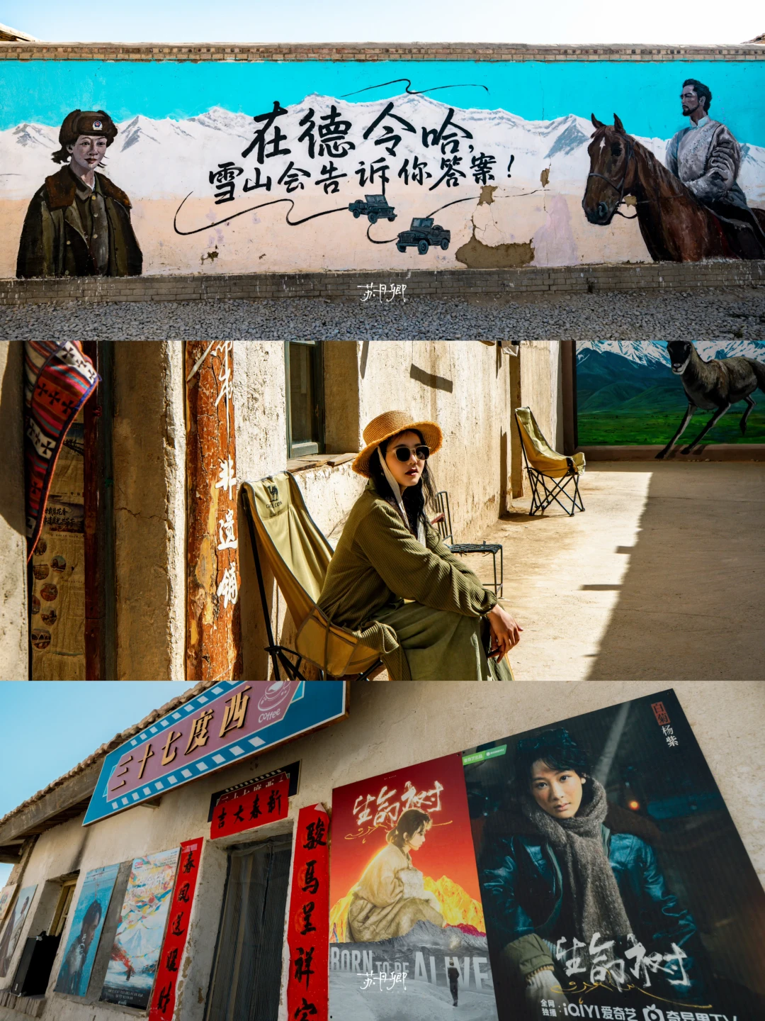 跟着杨紫打卡德令哈‼️生命树拍摄地｜太出片