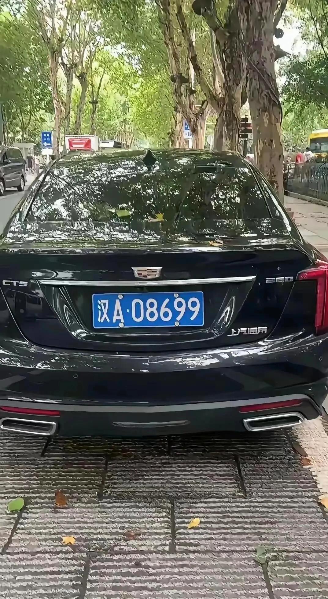 这俩车牌把我整懵了，汉A？汉东？！！！

莫非是汉东省京州市，李达康的[偷笑]
