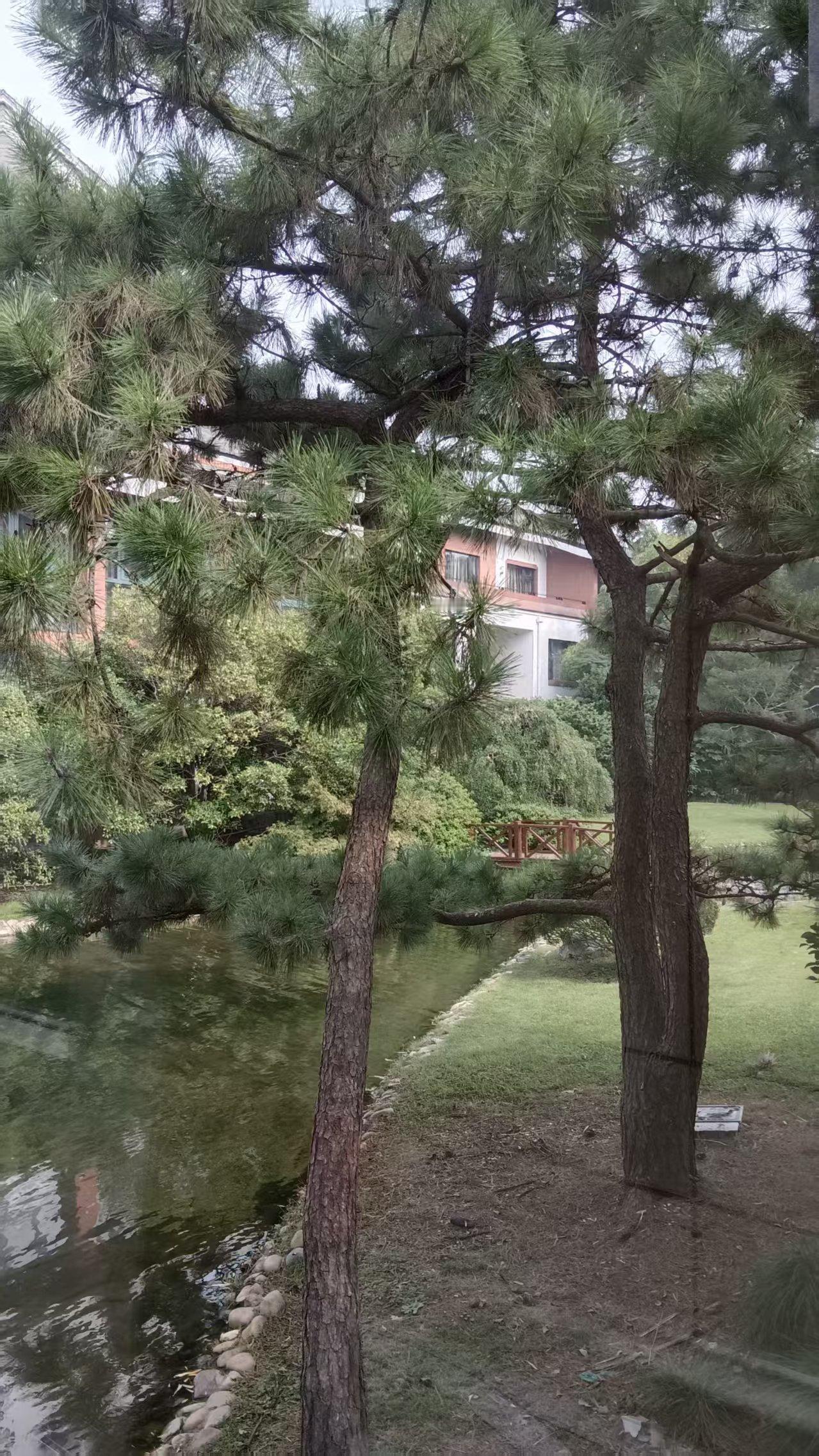 退休溜达宁今天在这里～[啤酒]