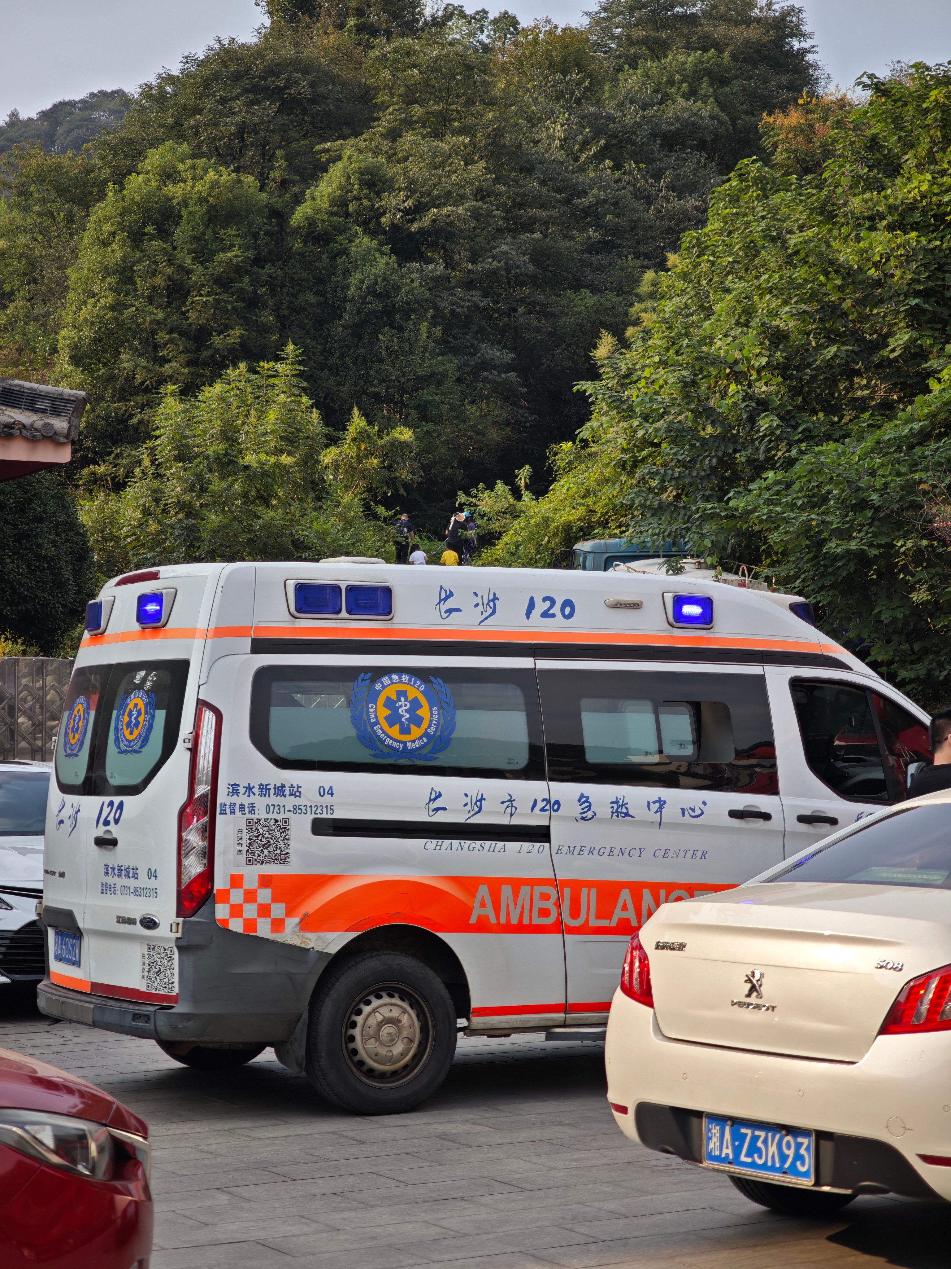 有个人爬山滑下去整脱臼了上不来，消防得先进山里把人救出来。 ​​​