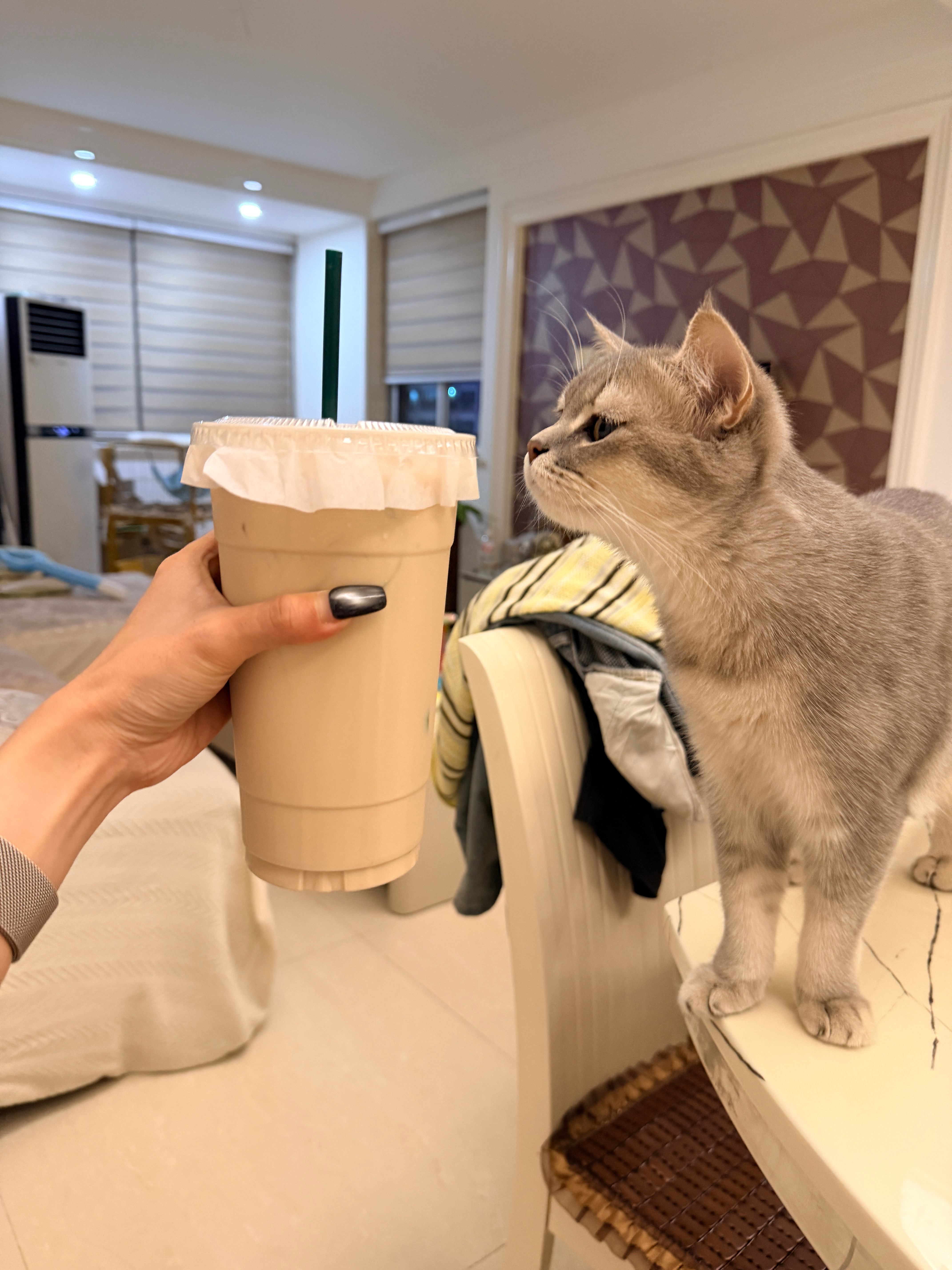私下里就是超大杯奶茶都来啊 